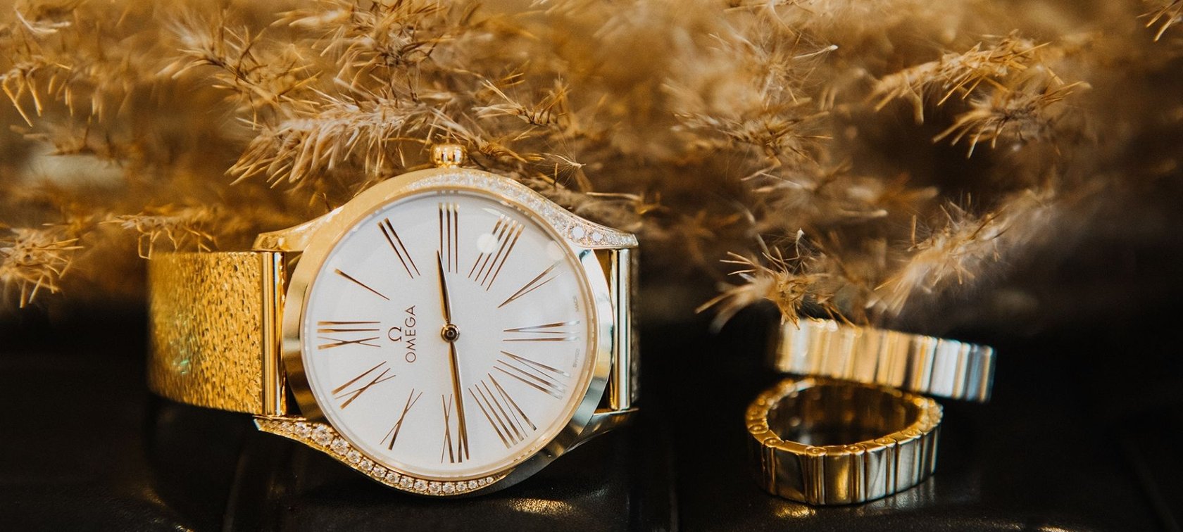 Omega Tresor 428.55.36.60.04.001