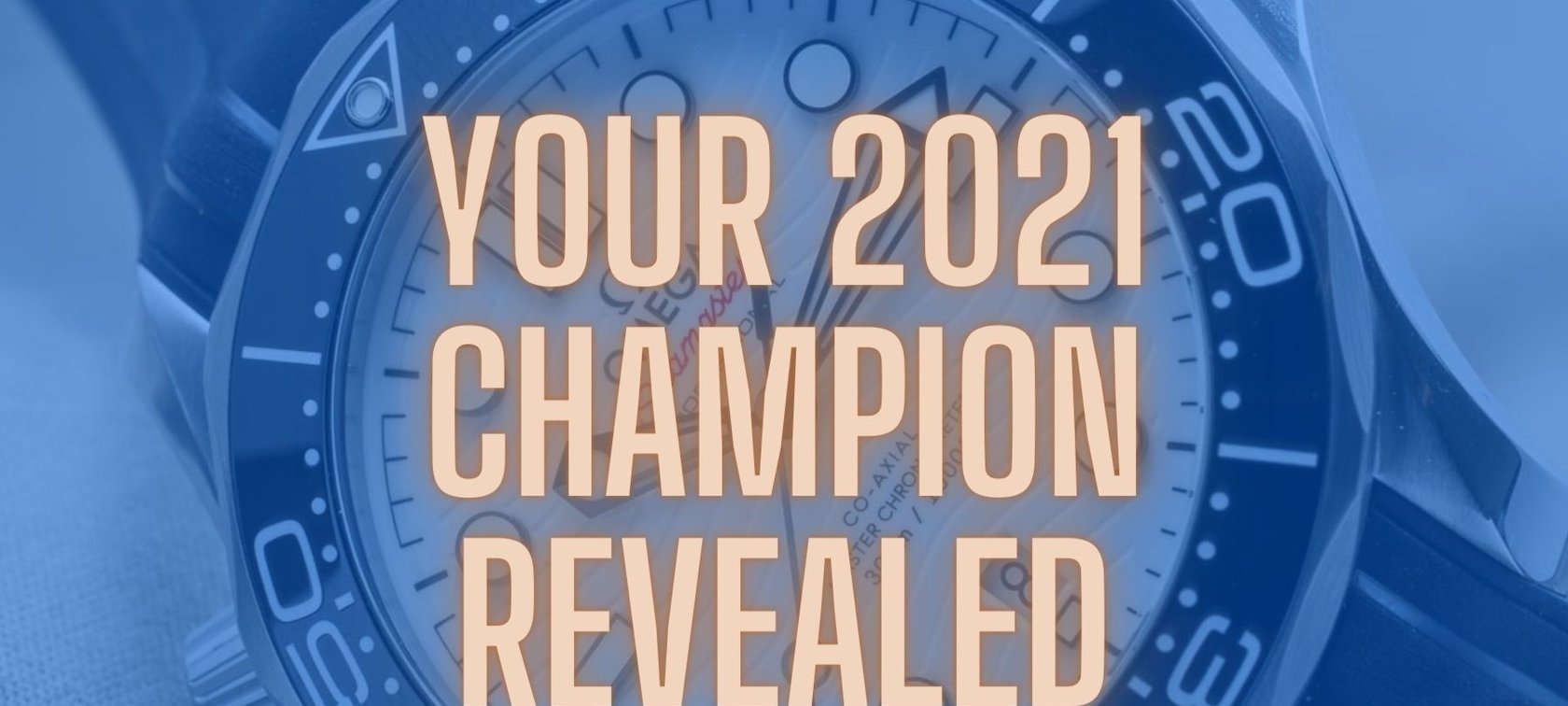 Summer Splash Winner