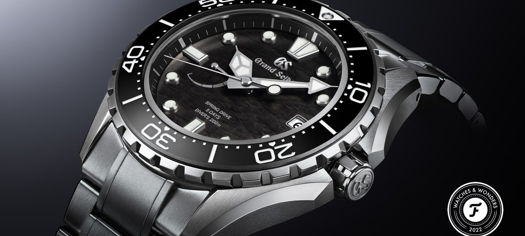 Introducing The Grand Seiko Evolution 9 SLGA015 Diver