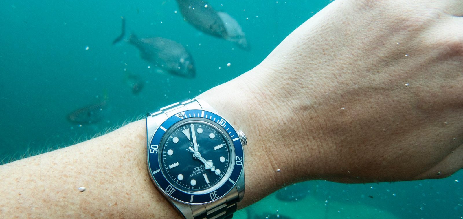 Are Rising Watch Prices Changing The Playing Field For Enthusiasts?