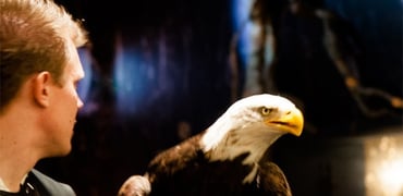 Roger Dubuis Excalibur Quatuor RDDBEX0367