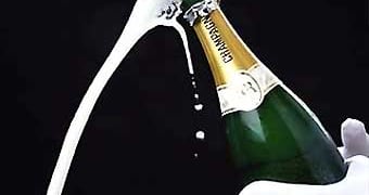 Happy 2005!