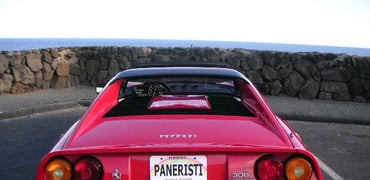 Some guys have all the fun!