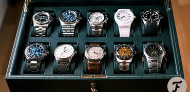 Wolf 1834 Watch Collection Box
