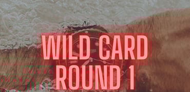 Wild Card Round 1