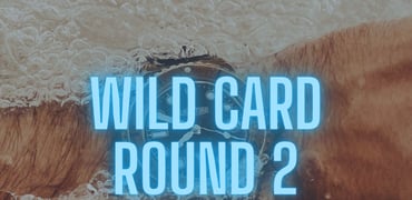 Summer Splash WILD CARD Round TWO: Seiko, Doxa, Squale, And More