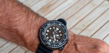 Seiko Tuna Lug-to-lug header