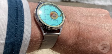 Mr-Jones-A-Perfectly-Useless-Afternoon-Mechanical-wristshot
