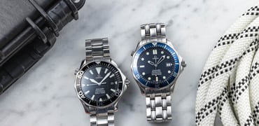 Omega Seamaster Professional 300M 2254.50 and 2531.80