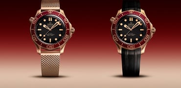 Omega Seamaster Diver 300M Bronze Gold Burgundy models header image