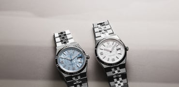 40mm platinum and Rolesor Rolex Land-Dweller models, flat