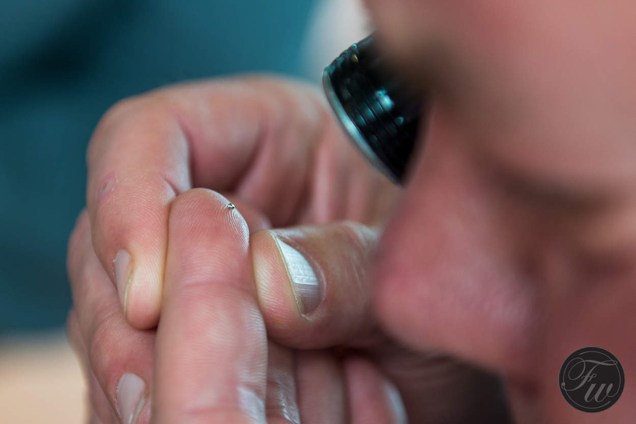 Inspection of watch components