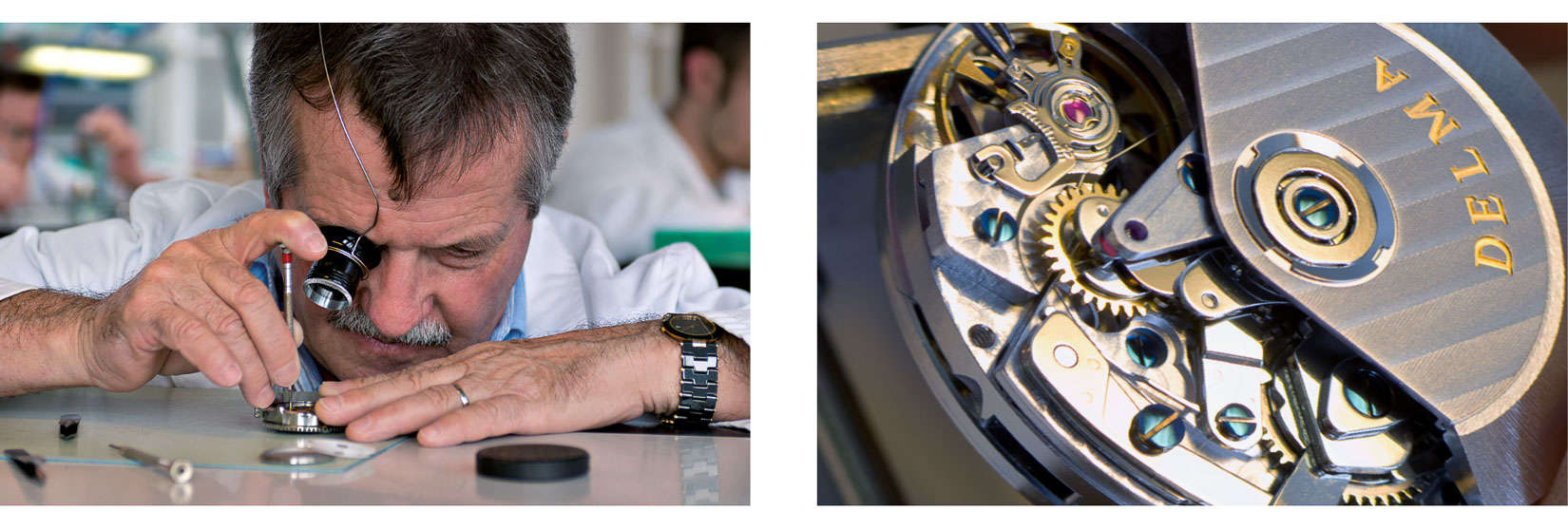 delma_klondike_nr4-4