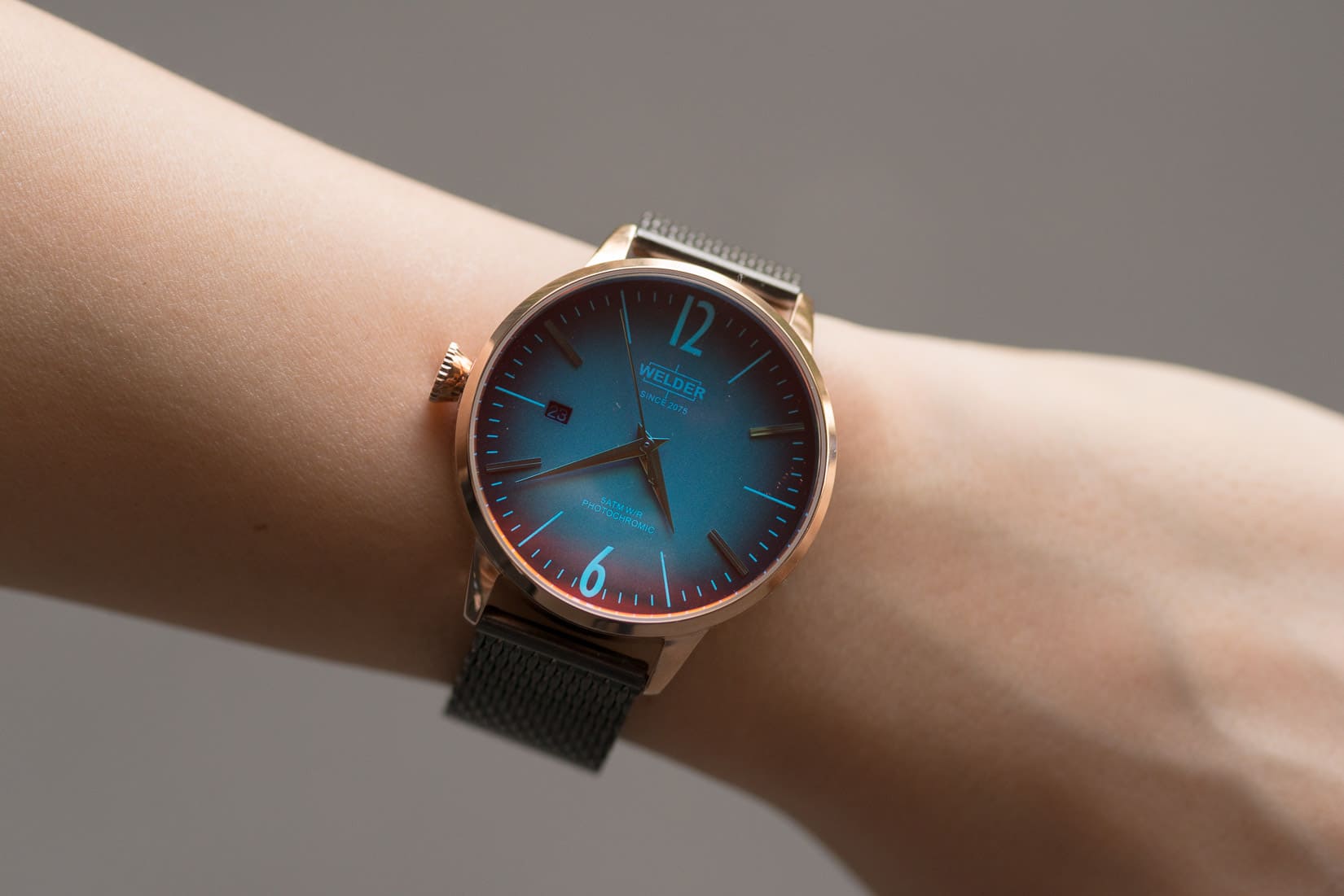 Watch Spotting Watch Spotting