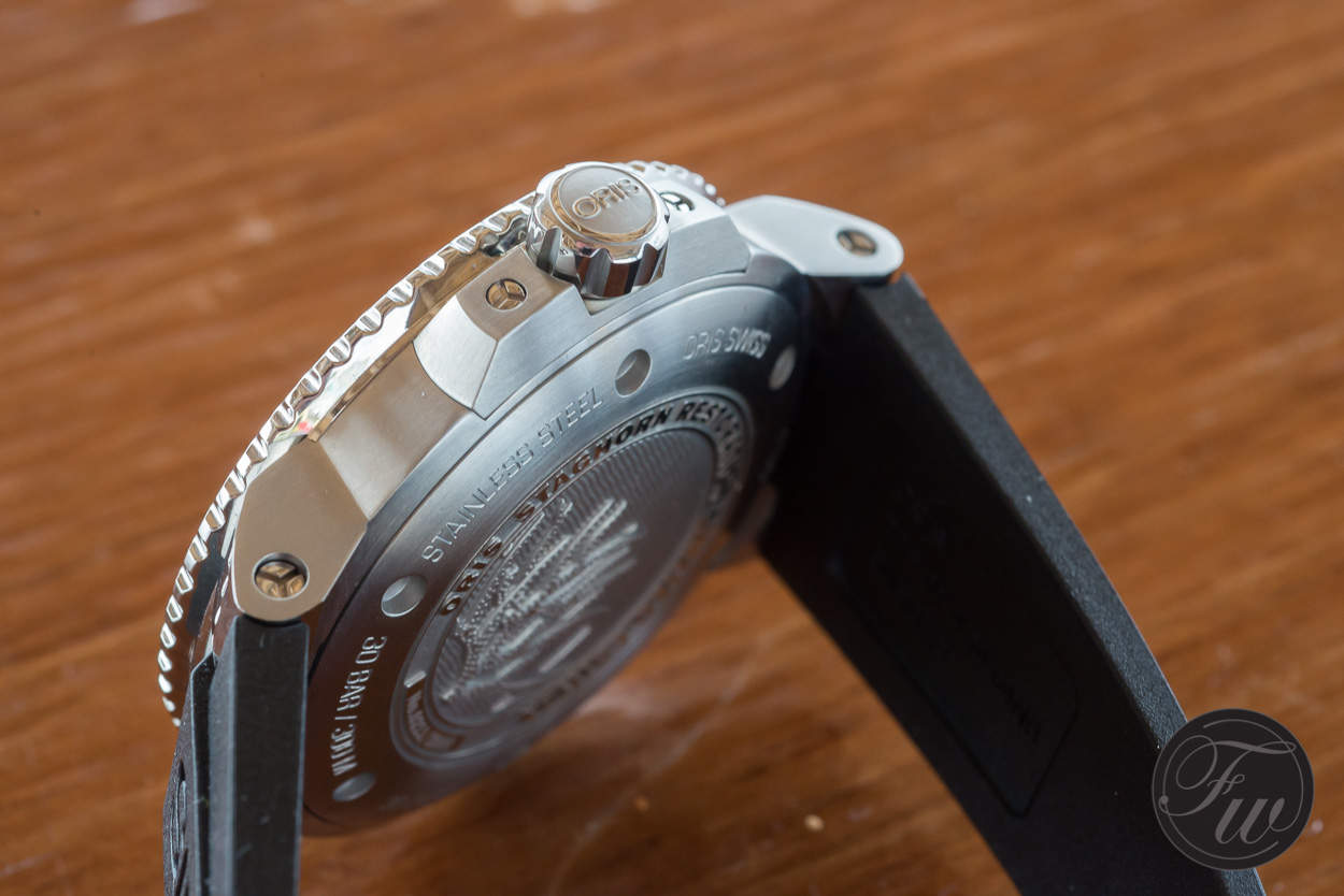 Oris Staghorn Restoration Oris Staghorn Restoration