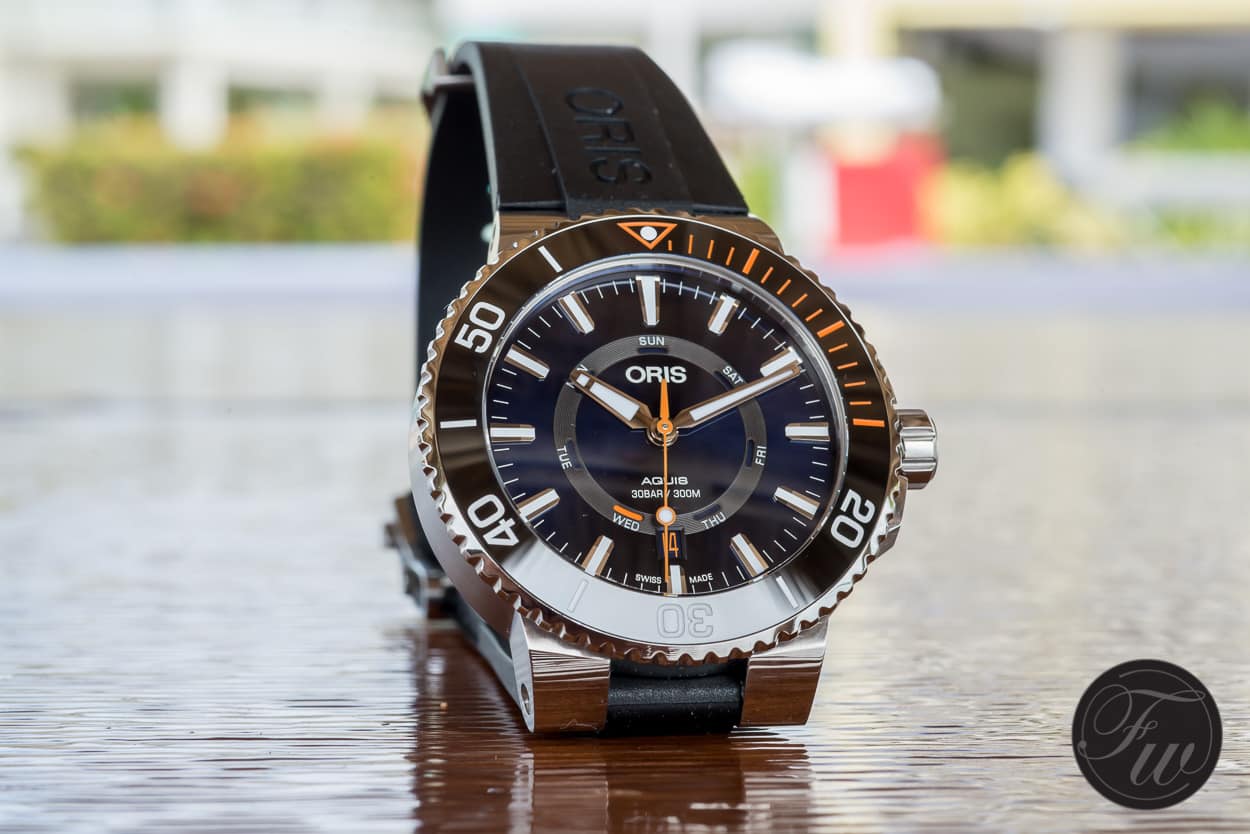Oris Staghorn Restoration Oris Staghorn Restoration