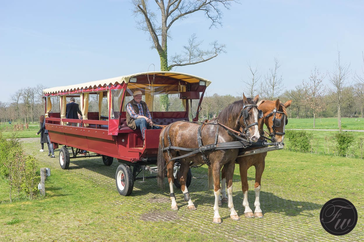 Staudt Praeludium Chronograph