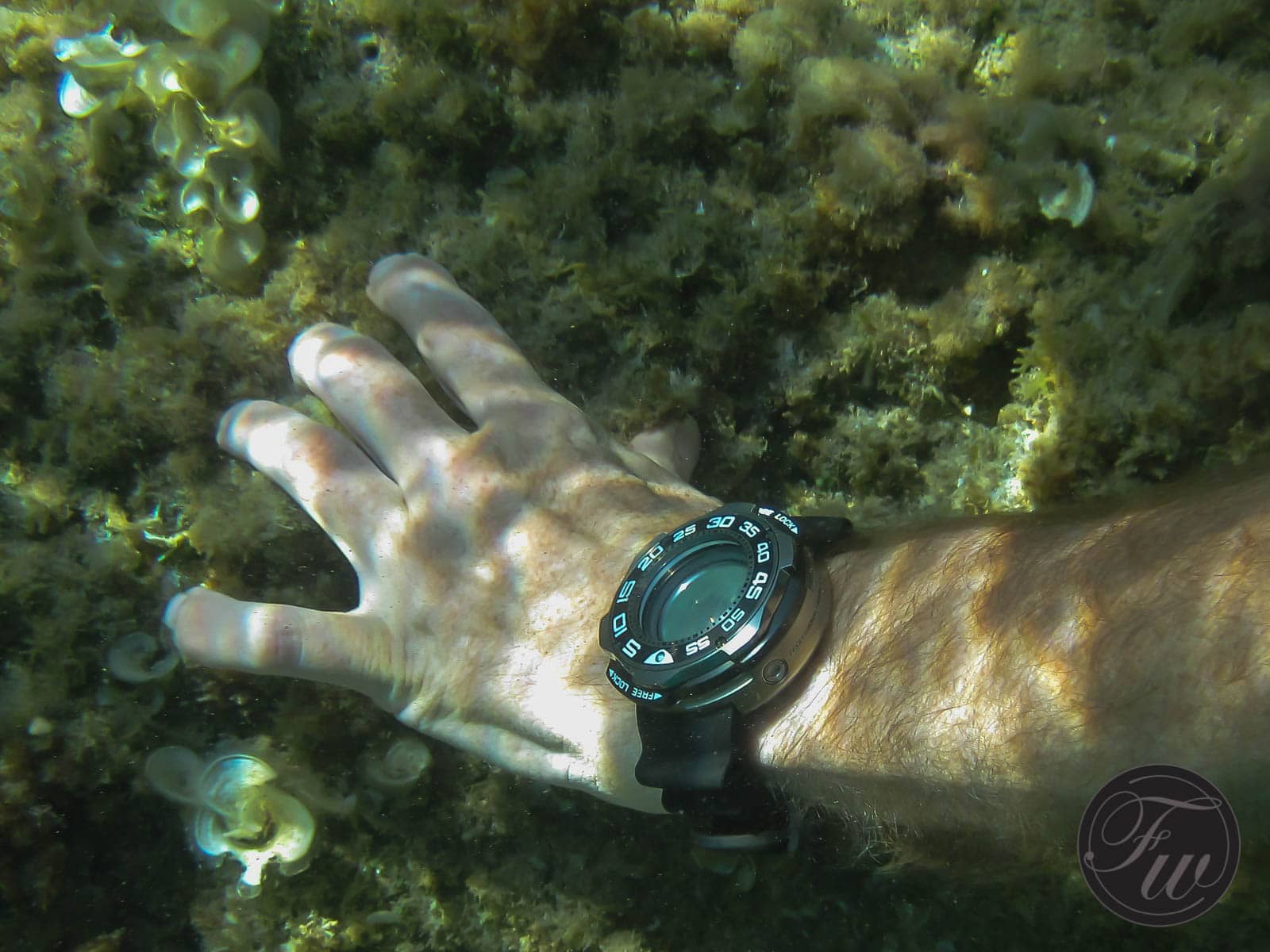 Citizen Promaster Professional