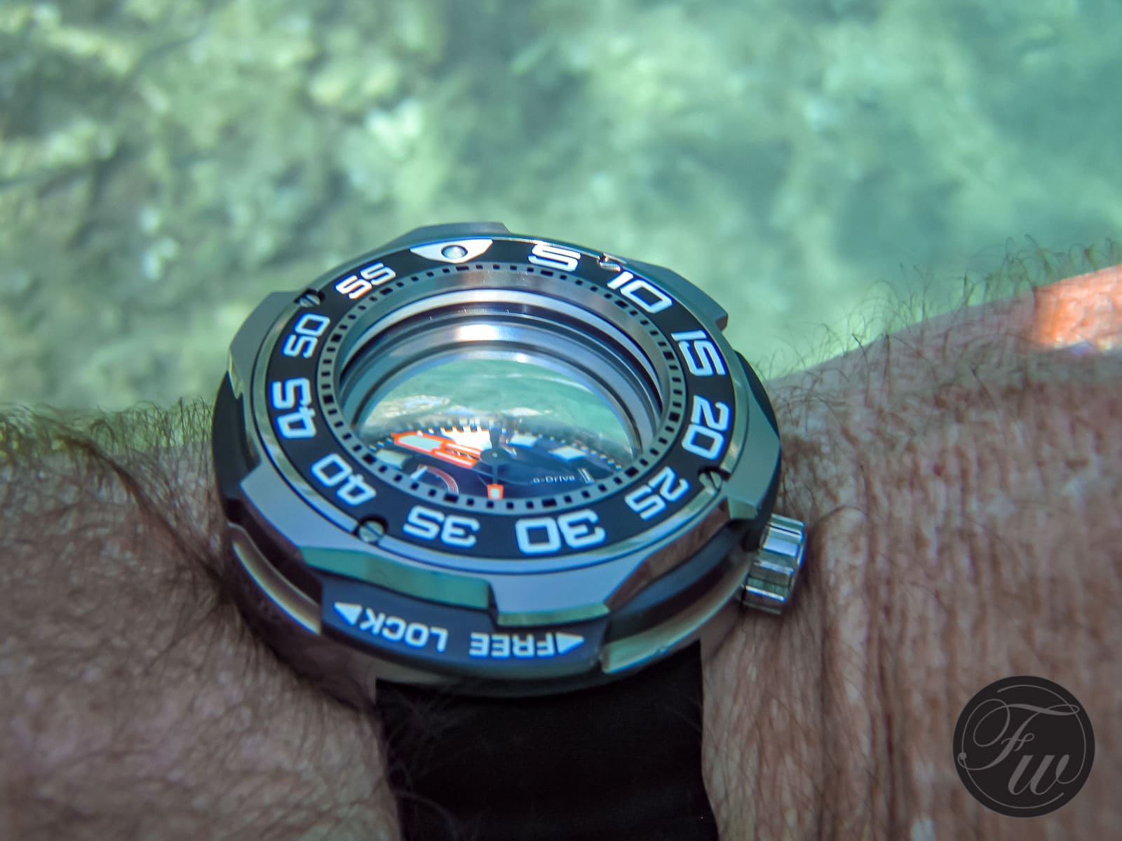 Citizen Promaster Professional