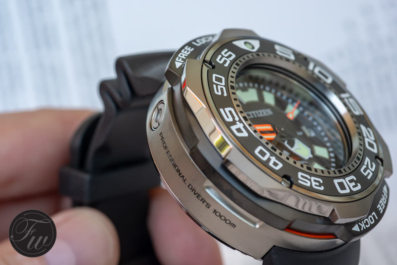 Citizen Promaster Professional