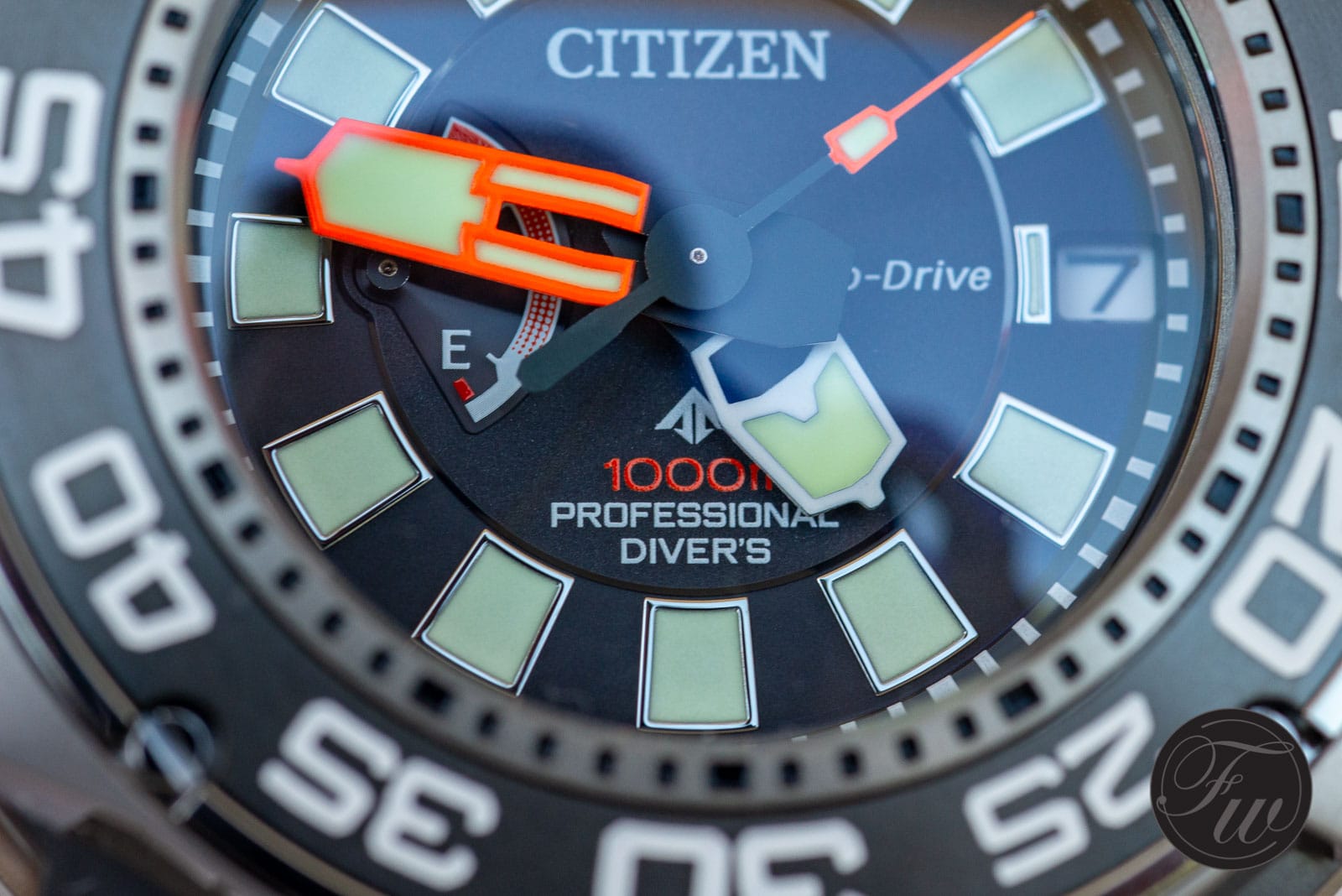 Citizen Promaster Professional