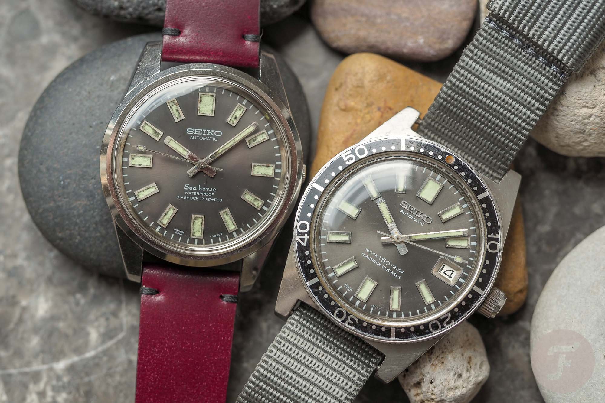 Seiko Seahorse 6601-8830 Seiko Seahorse 6601-8830