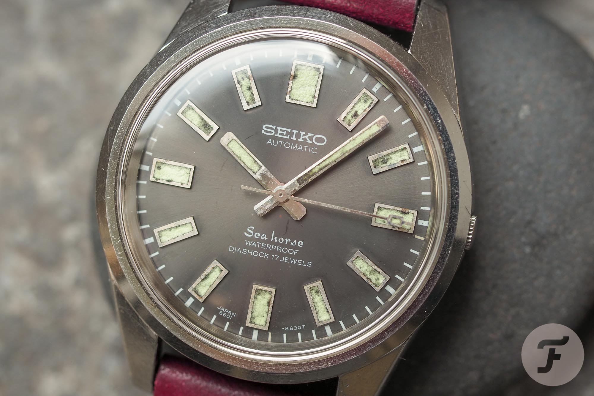 Seiko Seahorse 6601-8830 Seiko Seahorse 6601-8830