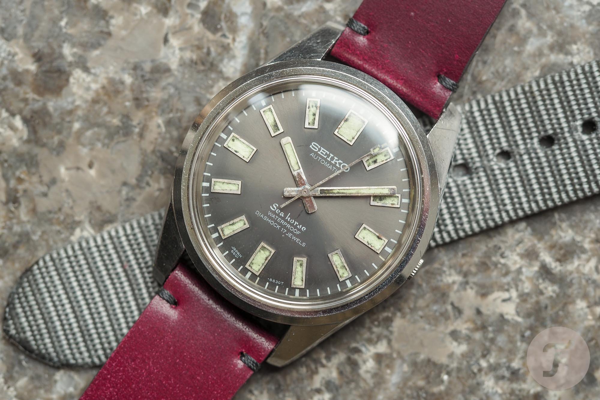 Seiko Seahorse 6601-8830 Seiko Seahorse 6601-8830