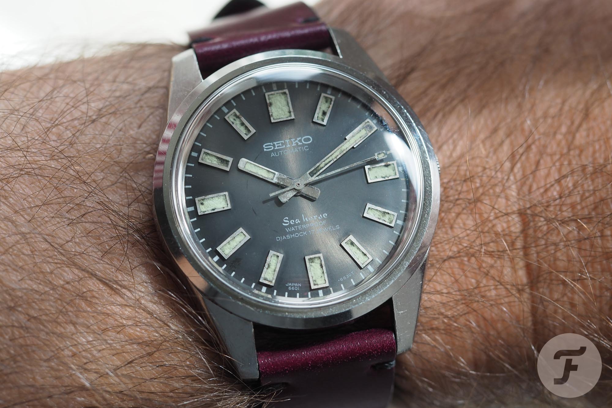 Seiko Seahorse 6601-8830 Seiko Seahorse 6601-8830