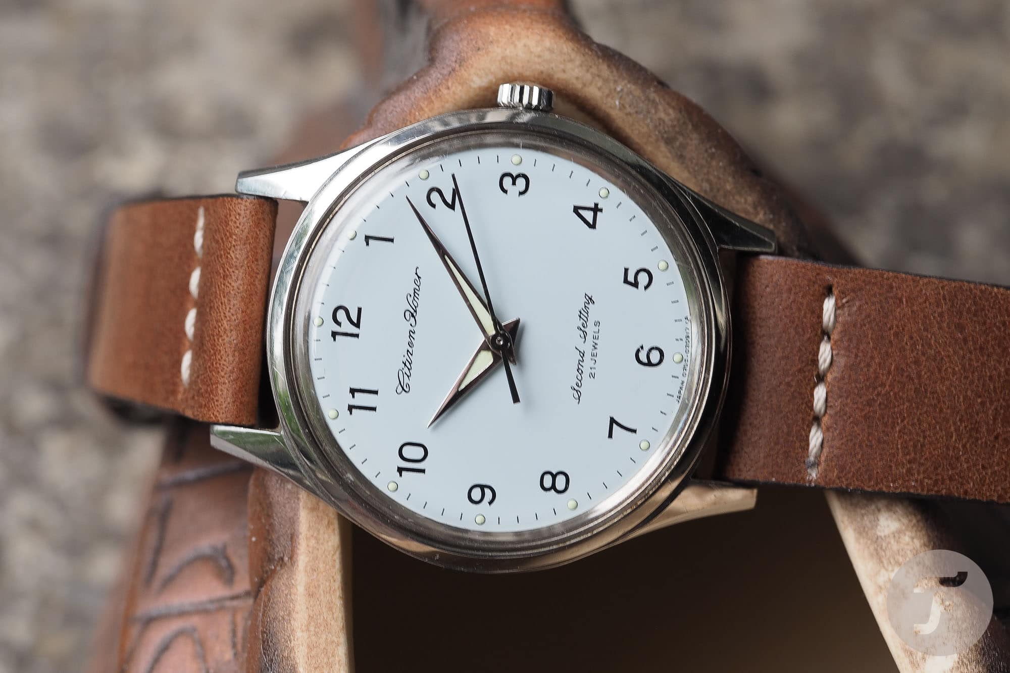 Citizen Homer Second Setting