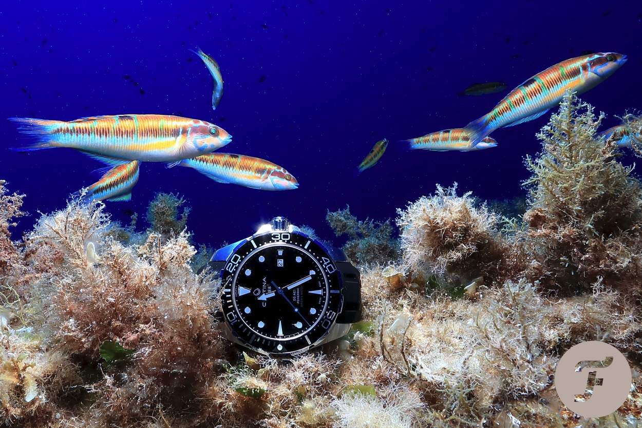 The DS Action Diver in it's natural environment