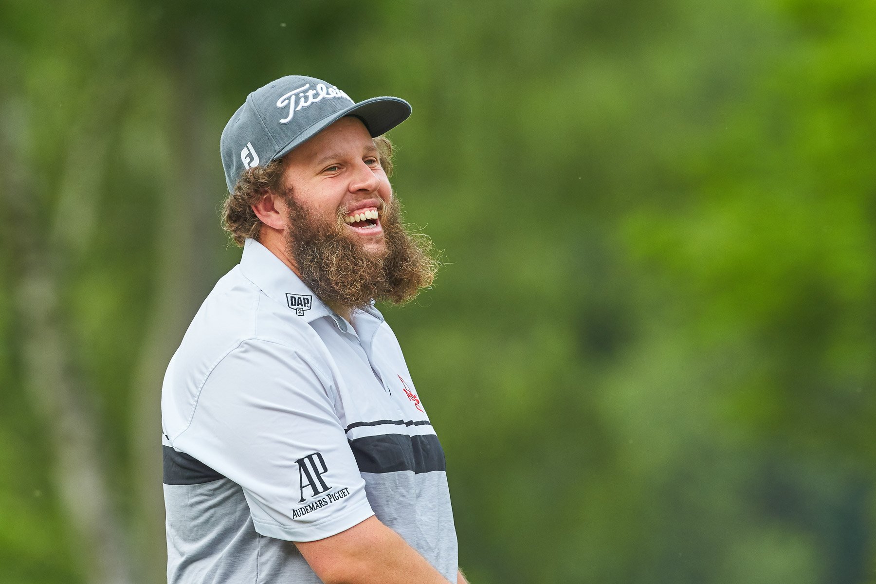 andrew beef johnston