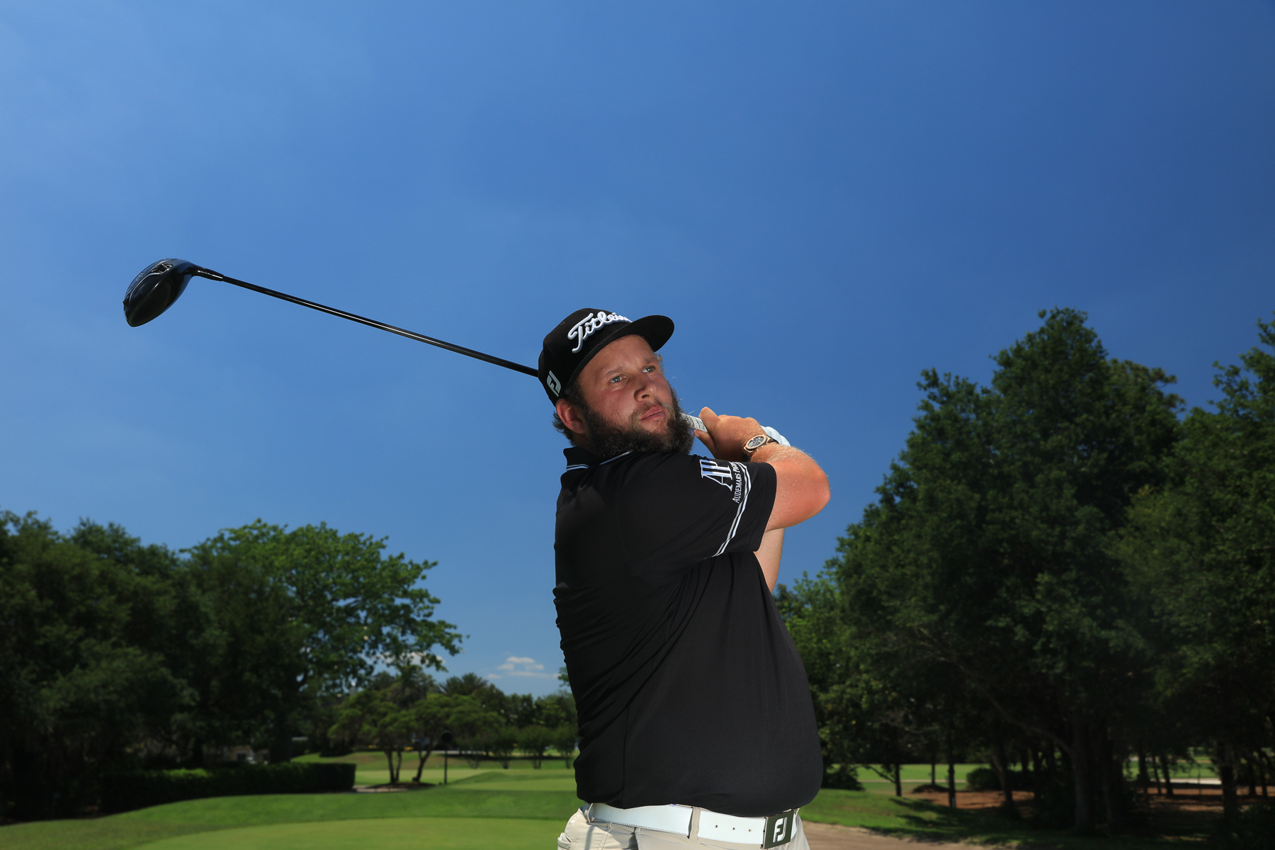 andrew beef johnston
