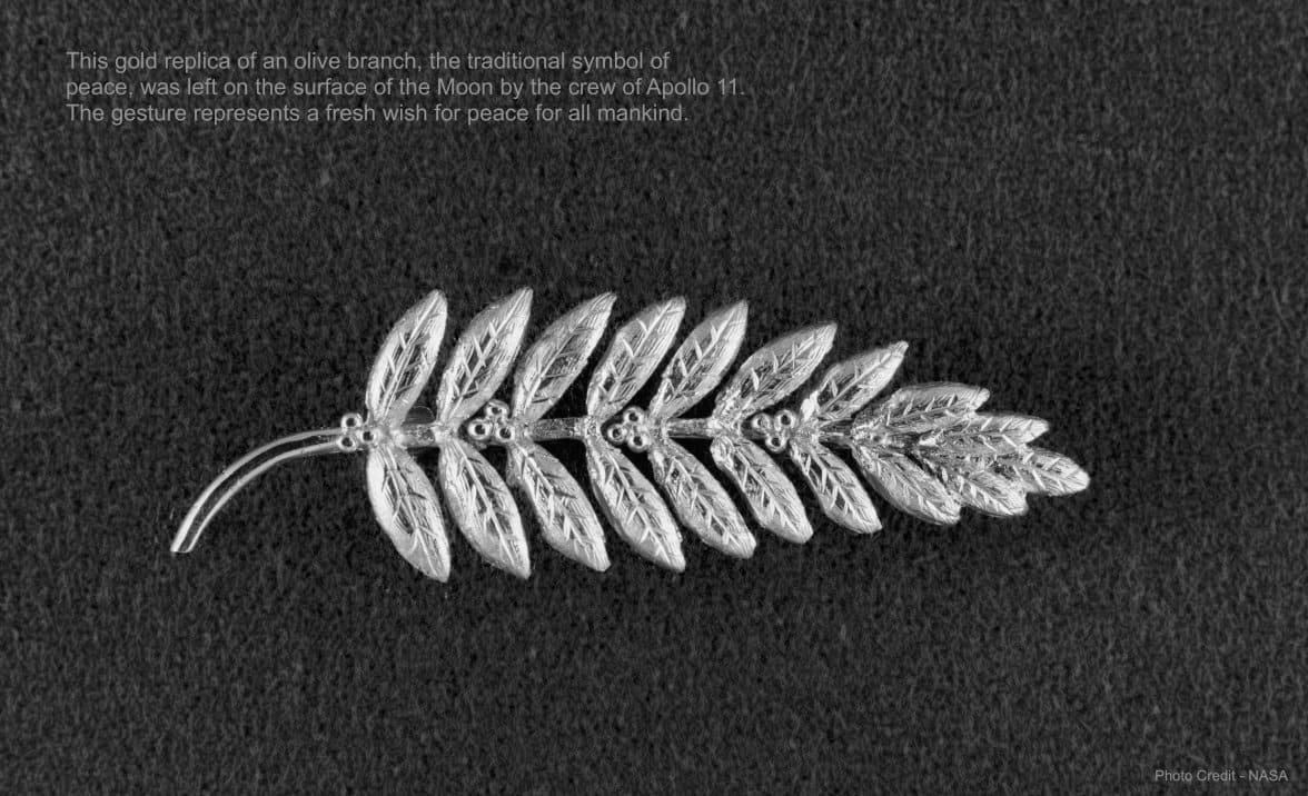 14 Signed Moonwatch Casebacks