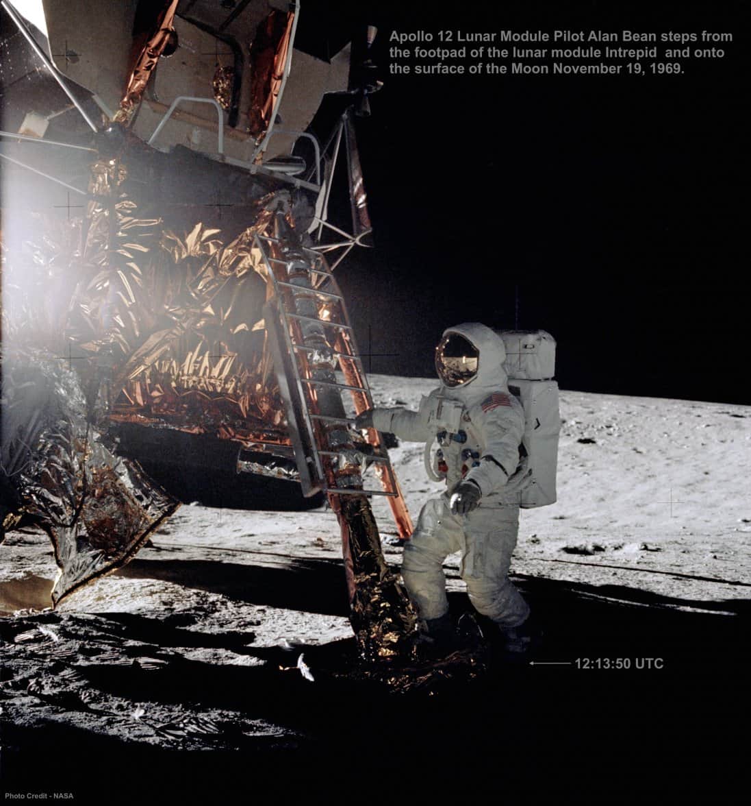 14 Signed Moonwatch Casebacks