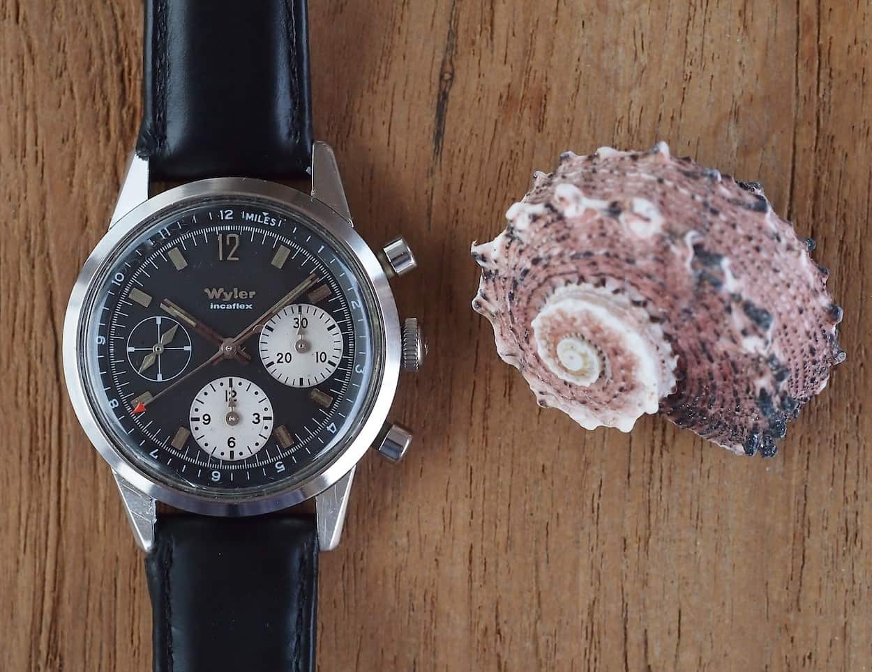 Wyler Lifeguard with some ocean life