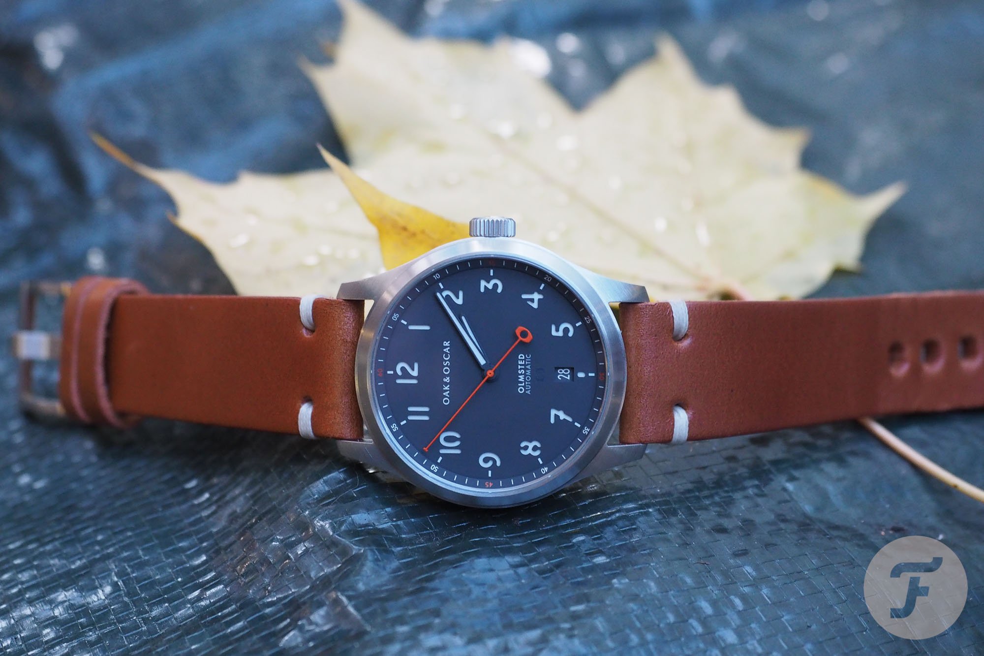 Oak and Oscar Olmsted 38 2