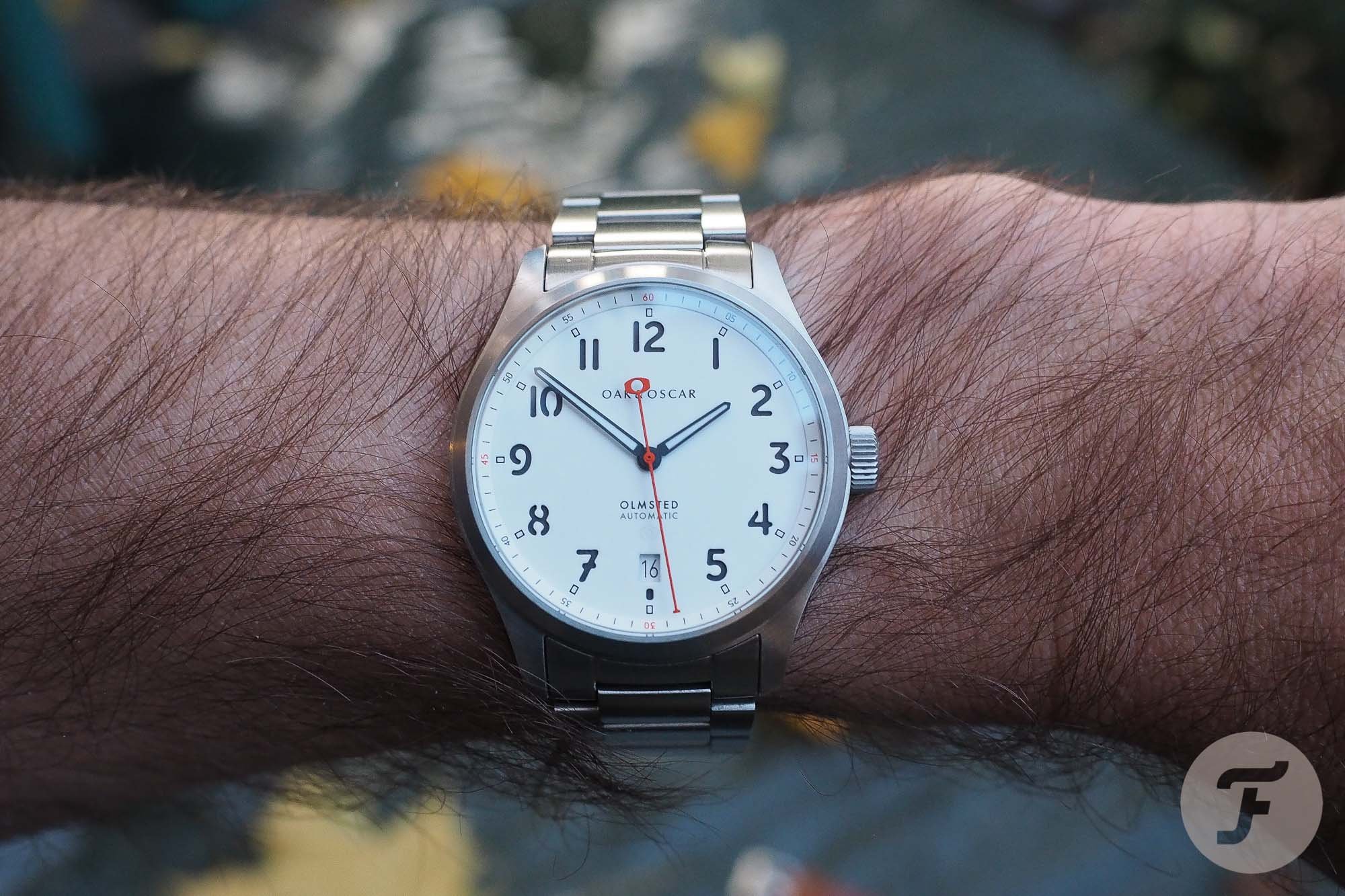 Oak and Oscar Olmsted 38 6