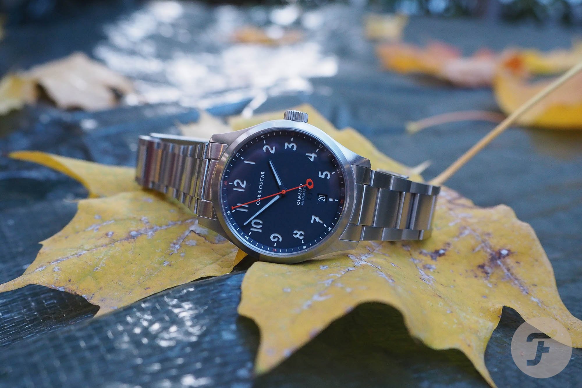 Oak and Oscar Olmsted 38 9