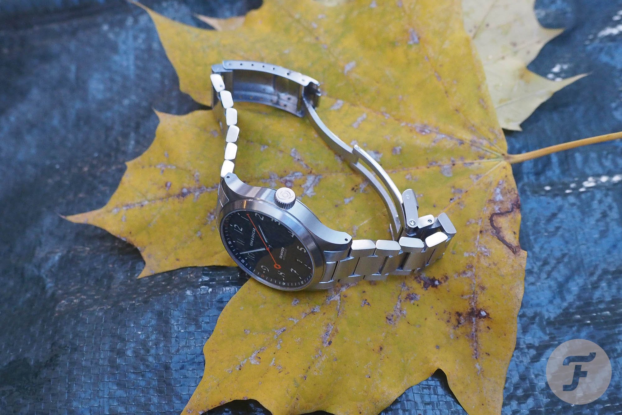 Oak and Oscar Olmsted 38 10