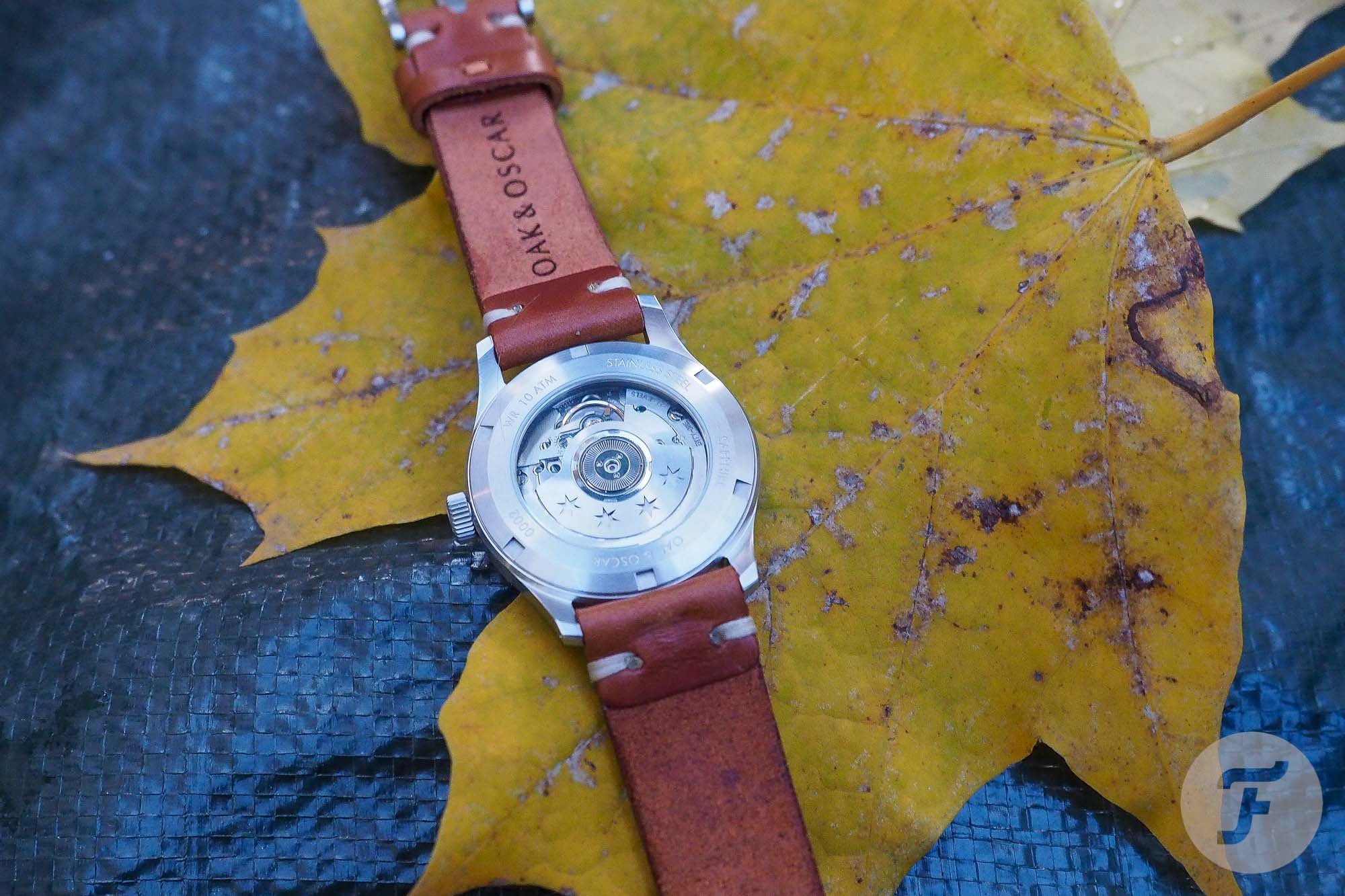 Oak and Oscar Olmsted 38 11