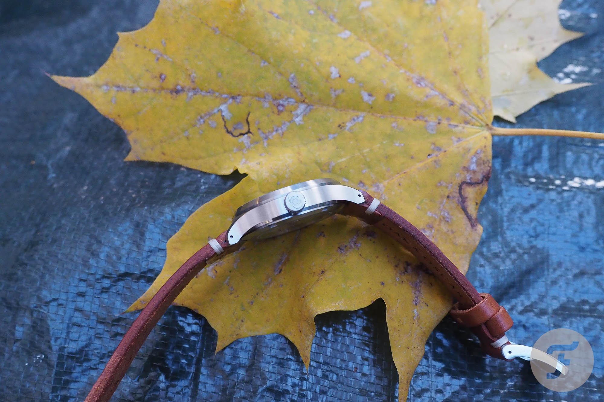 Oak and Oscar Olmsted 38 12