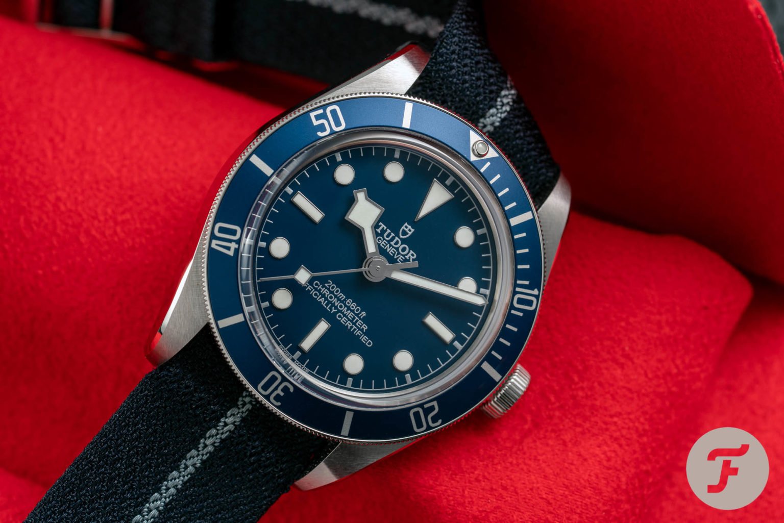 【F】 Two Years On — Living With Tudor's Black Bay Fifty-Eight