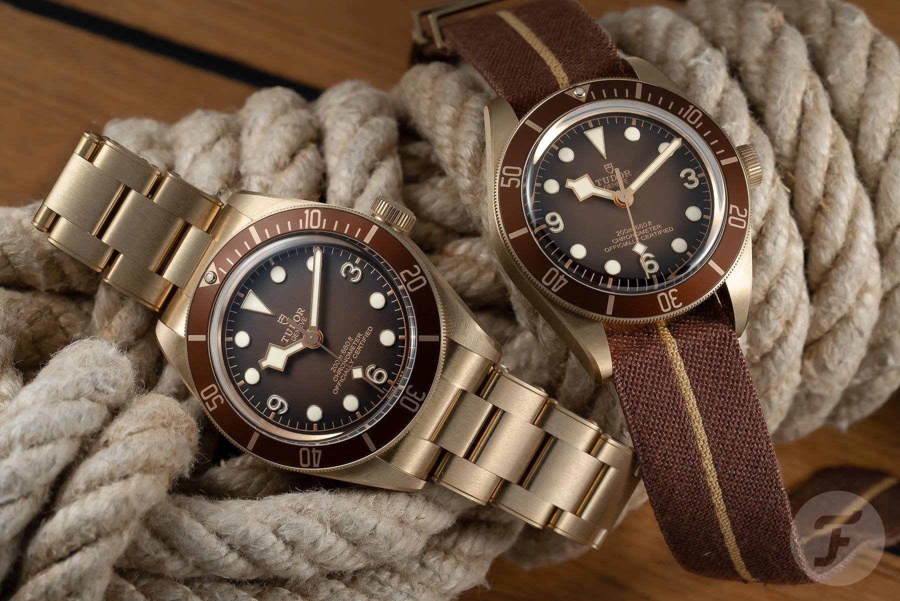 How Rolex and Tudor are moving as a group of companies today