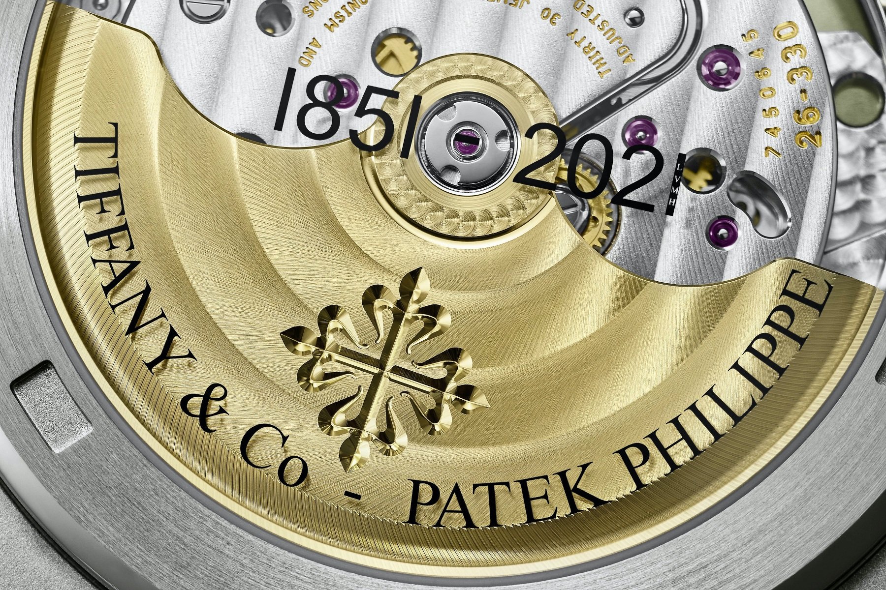 Bernard Arnault Wears Exclusive Patek Philippe x Tiffany & Co. 