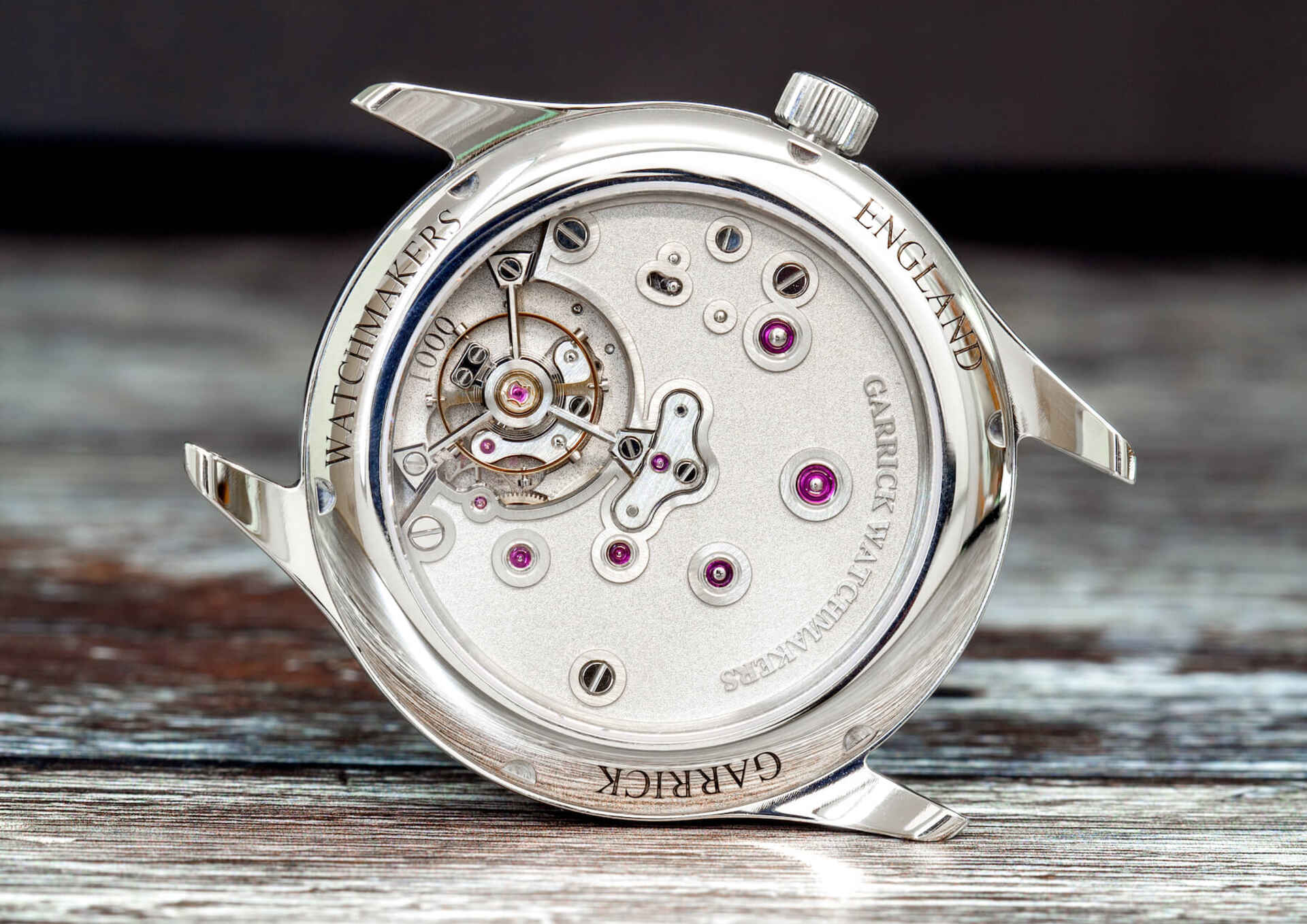 Garrick S5 Watch Back