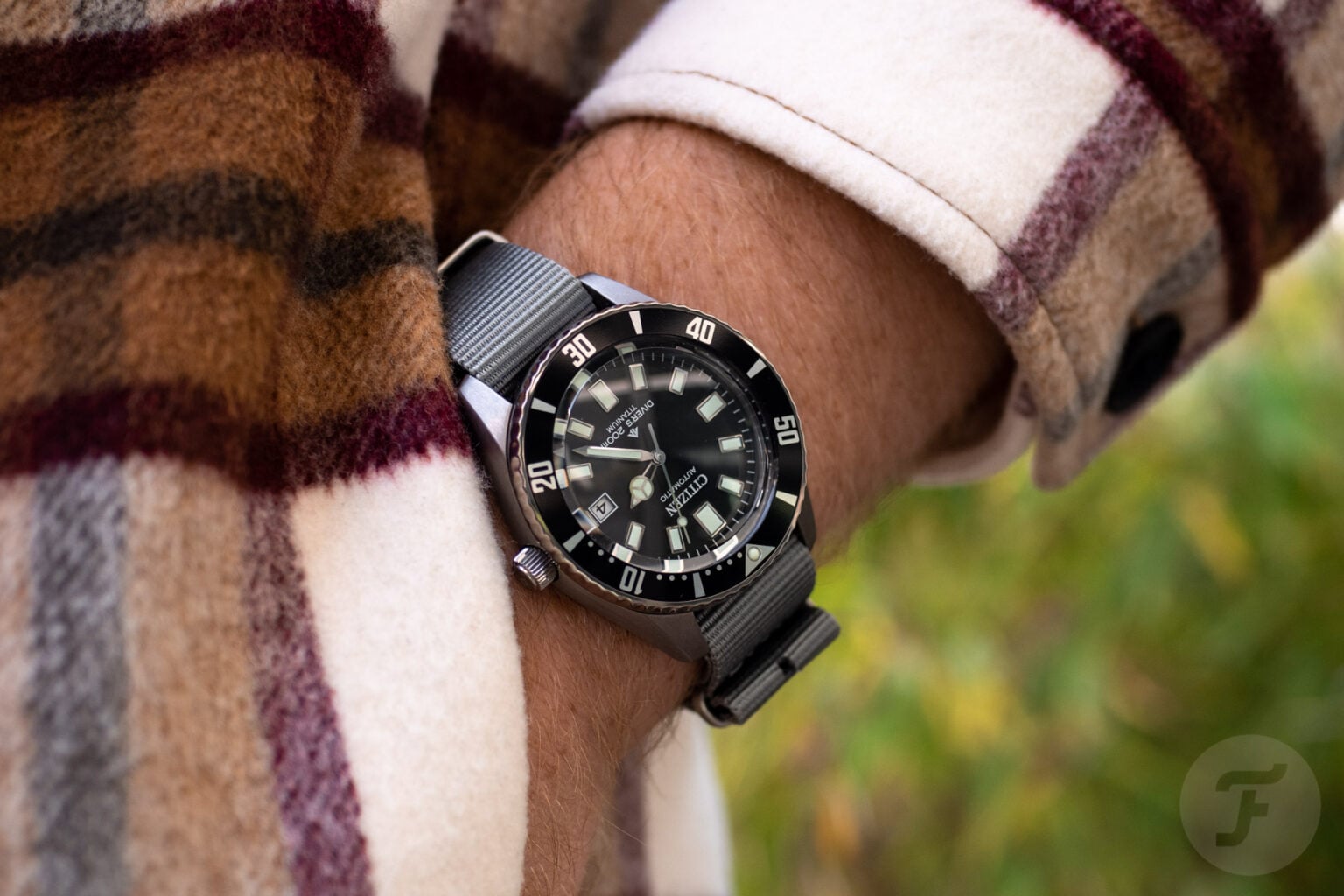 【F】 HandsOn The Citizen Promaster Mechanical Diver 200m