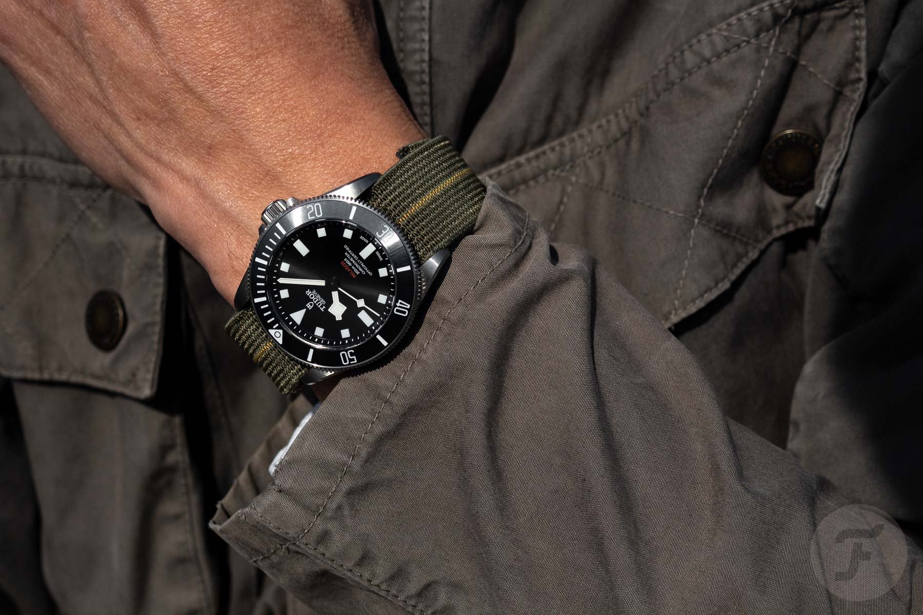 The Tudor Pelagos 39