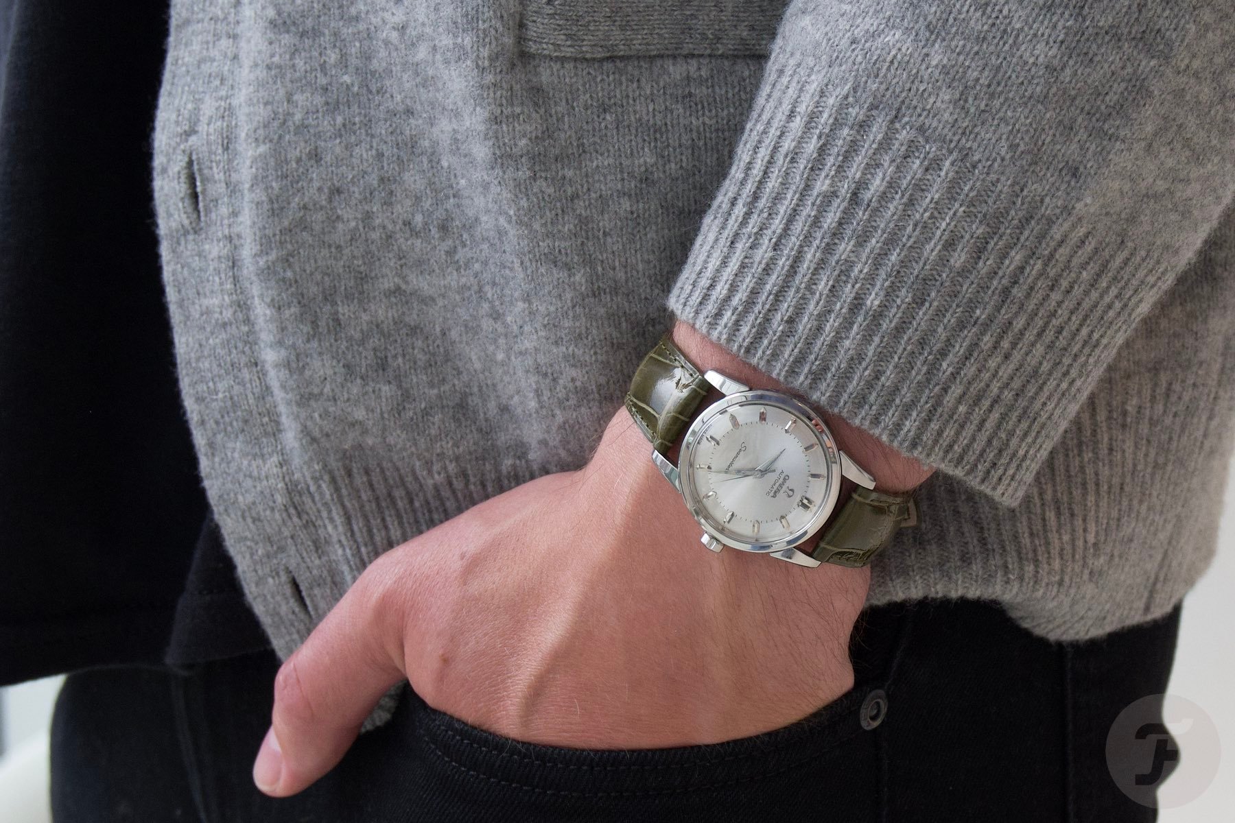 Watch passion Omega Seamaster