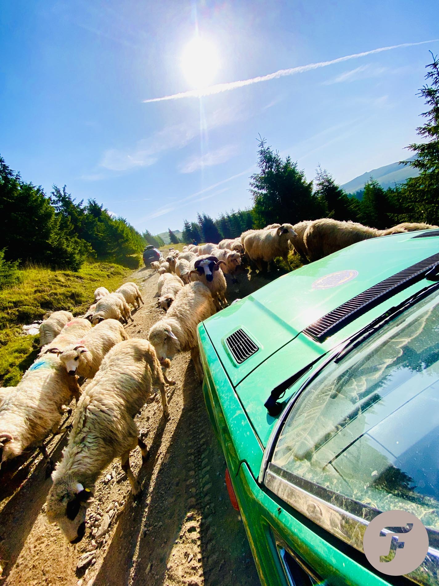 Rallying A Classic Car With The Fratello × Oris Divers Sixty-Five